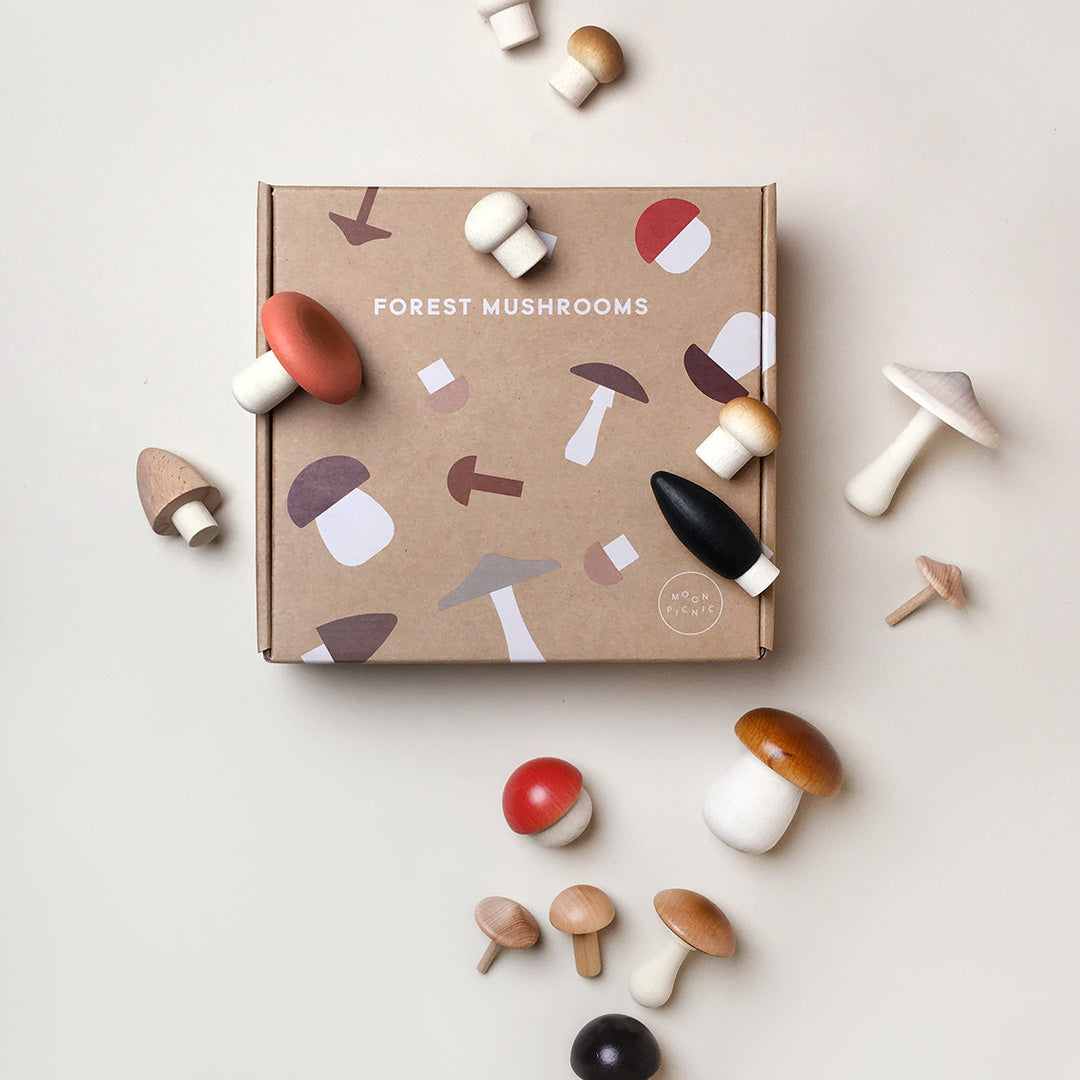 Forest Mushrooms in a box