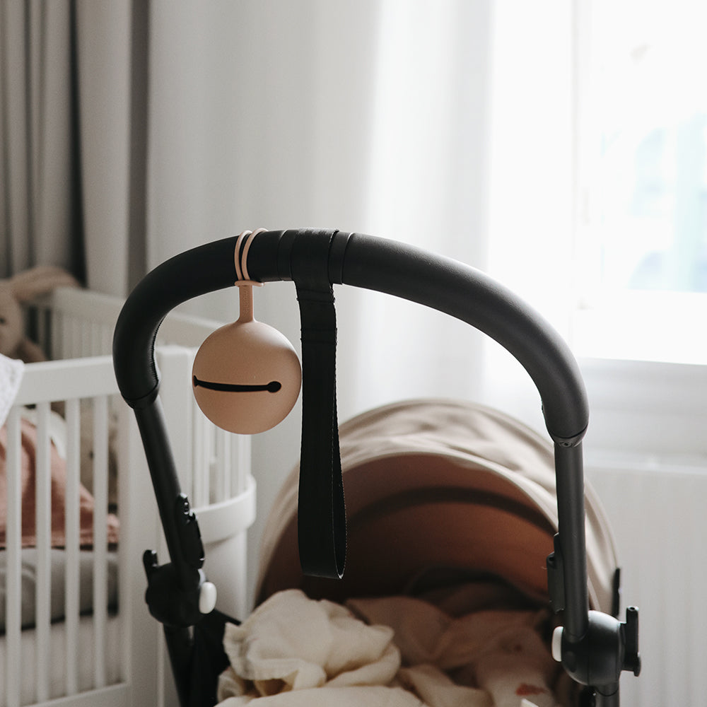 Silicone Pacifier Holder Case