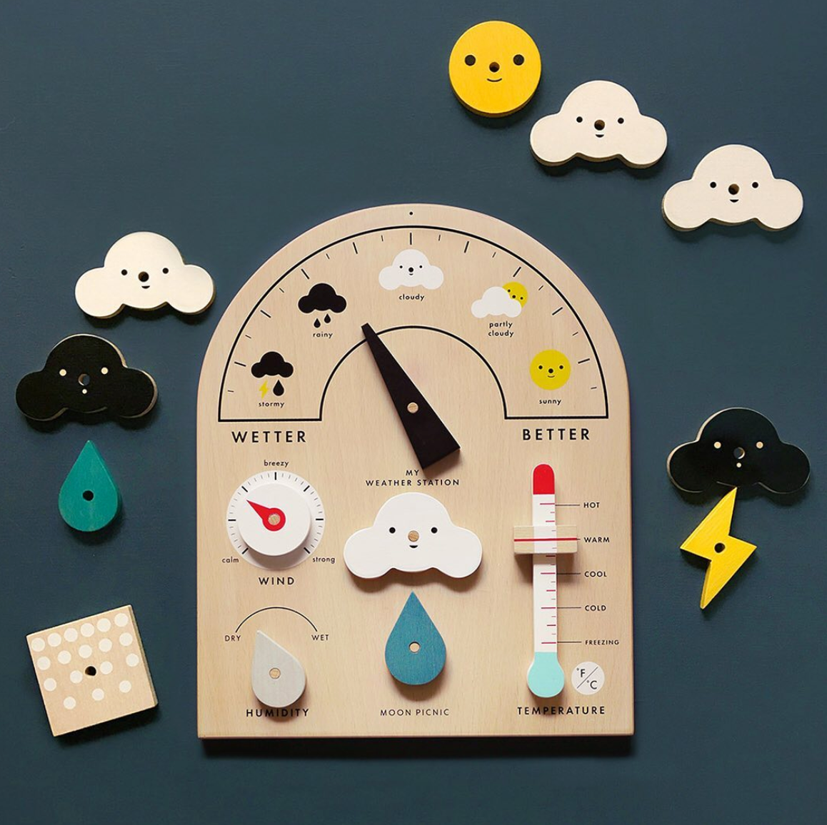 Moon picnic weather hot sale station