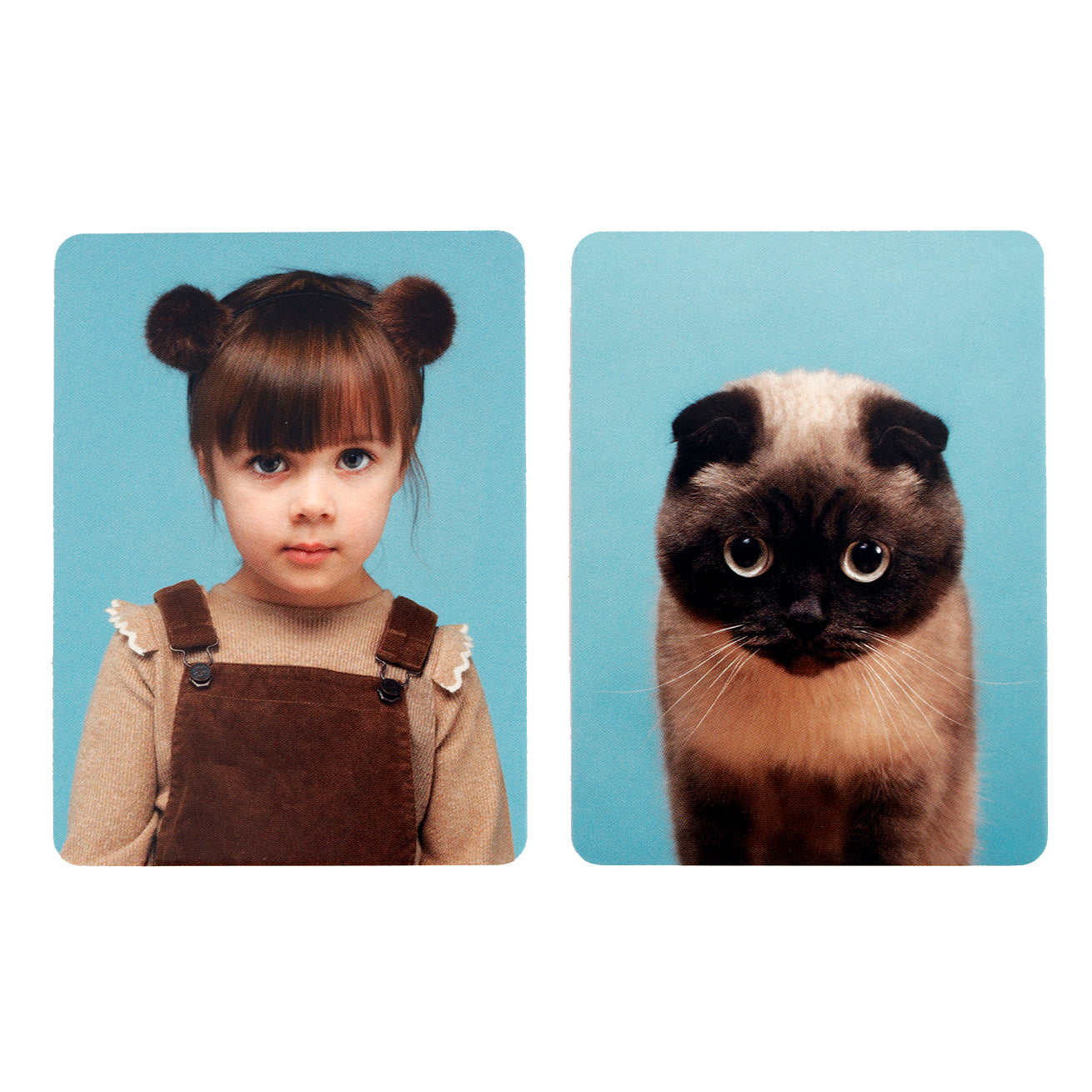 Memo-Spiel: Siehst du aus wie deine Katze?(DE)