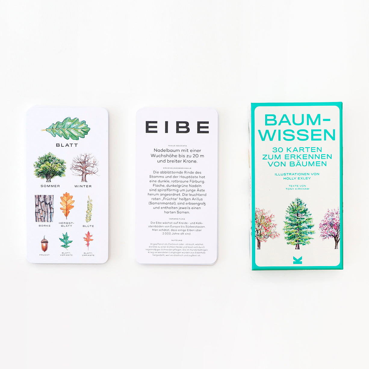 Baum-Wissen (DE)