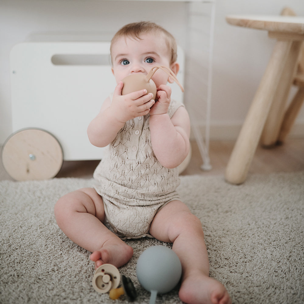 Silicone Pacifier Holder Case