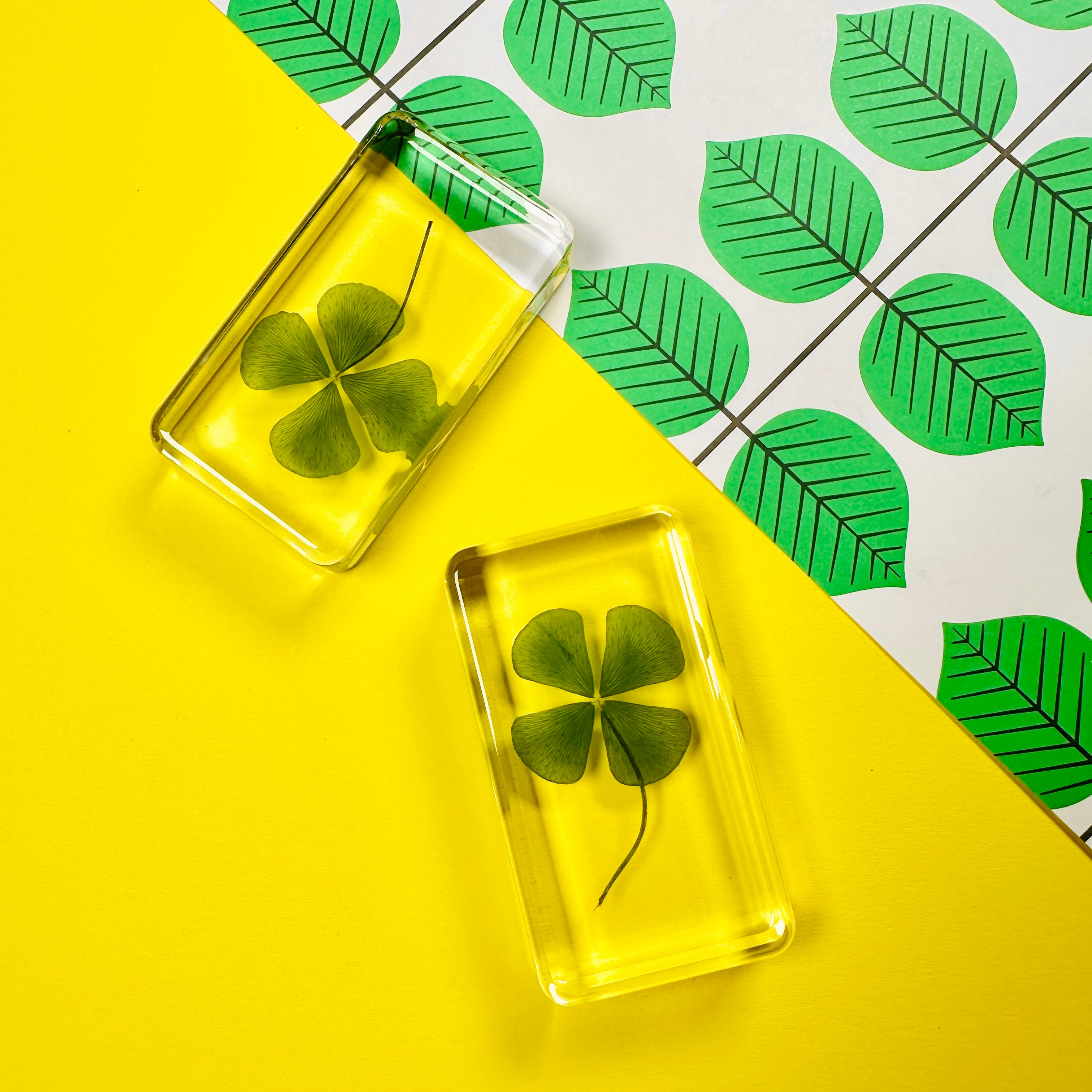 Cube lucky clover
