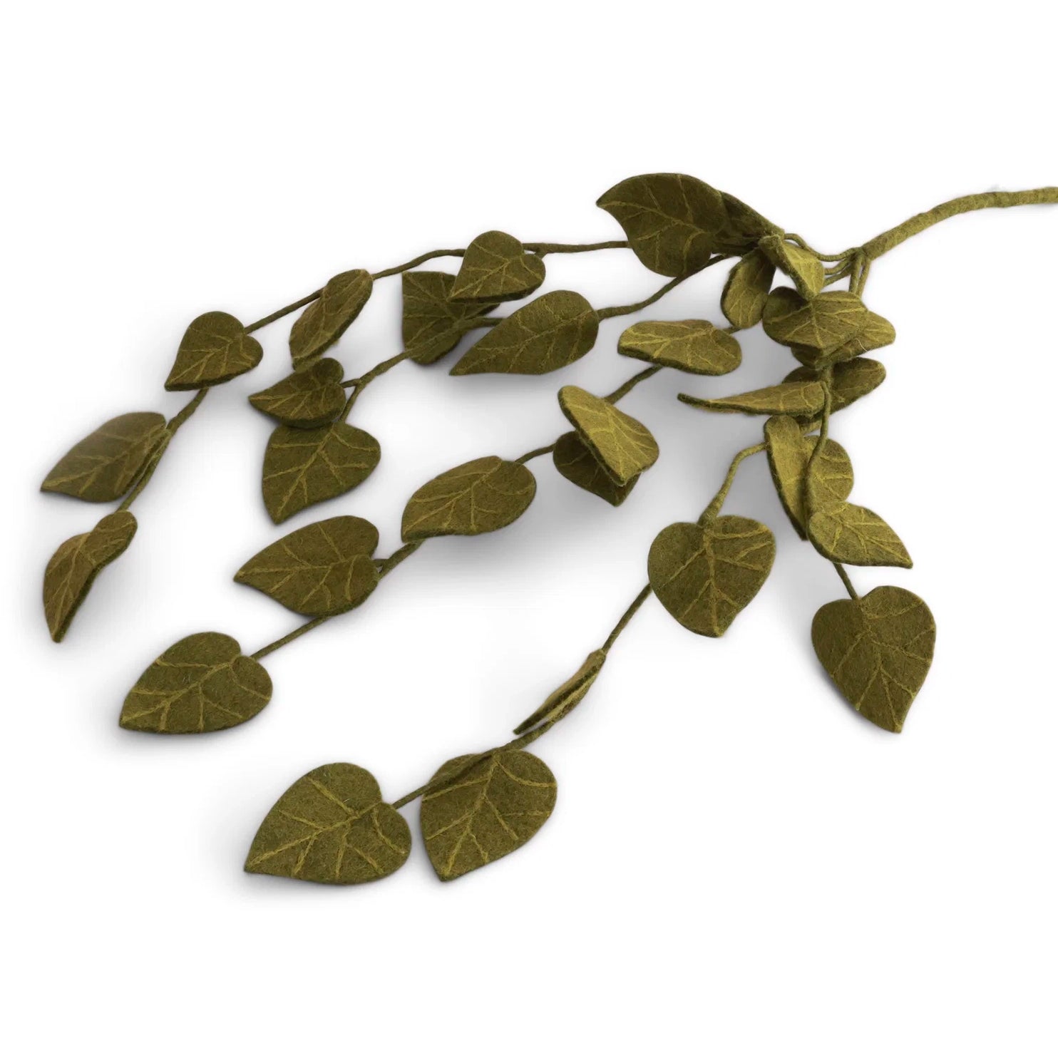 Succulent Branches