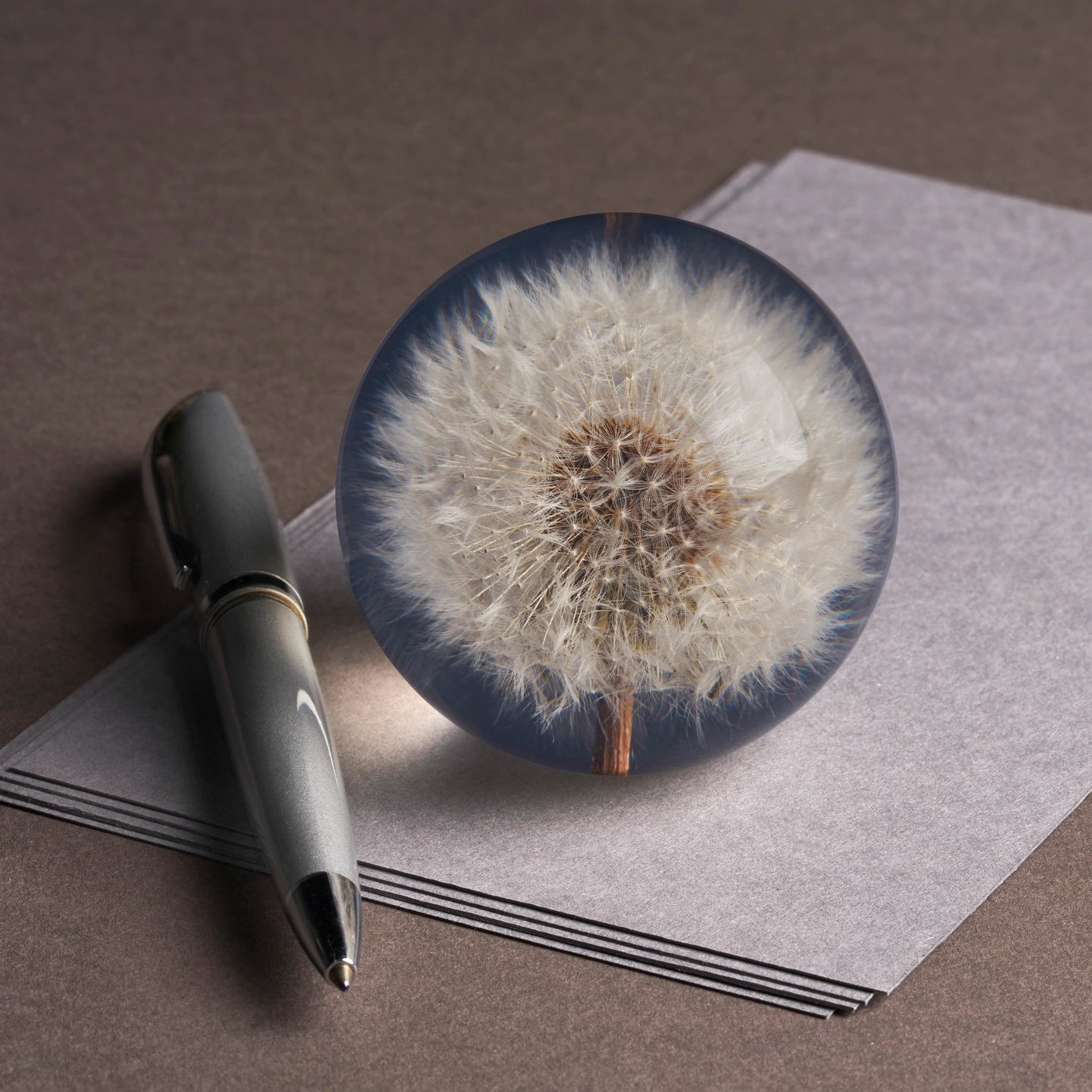 Dandelion paperweight