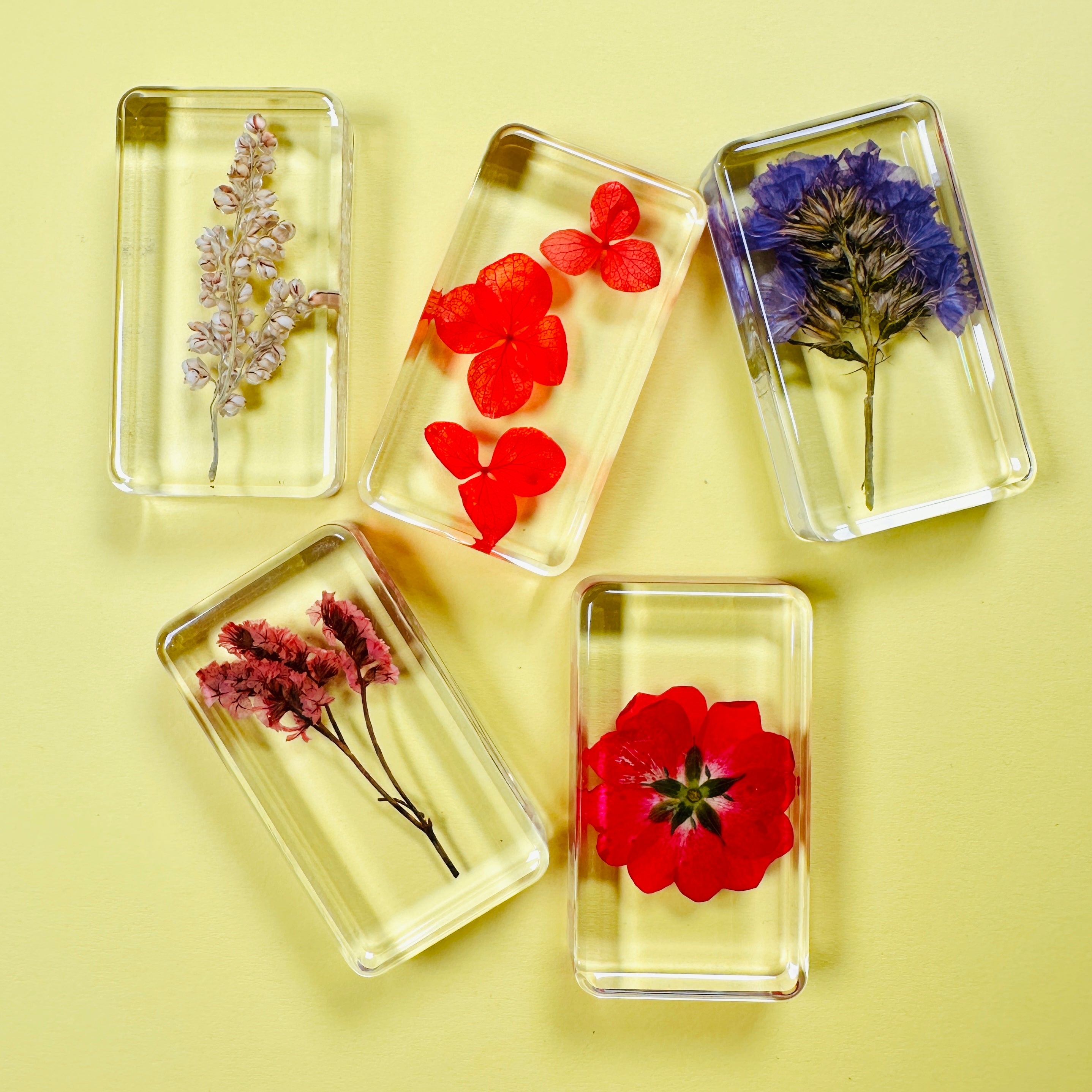 Wildflower Cube Large (Random Pick)