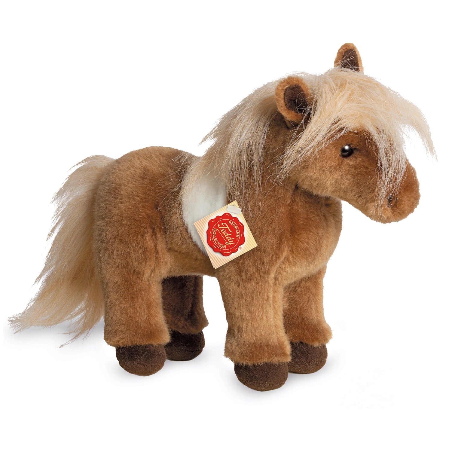 Shetland Pony