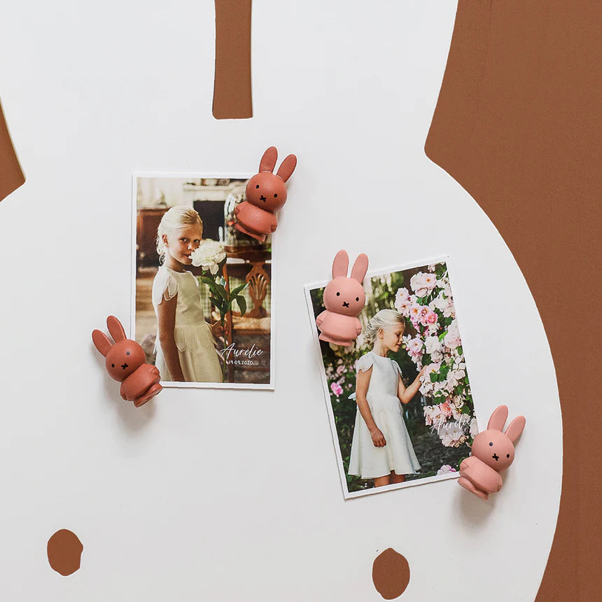 Miffy Magnet Powder&Terra (Set of 4)