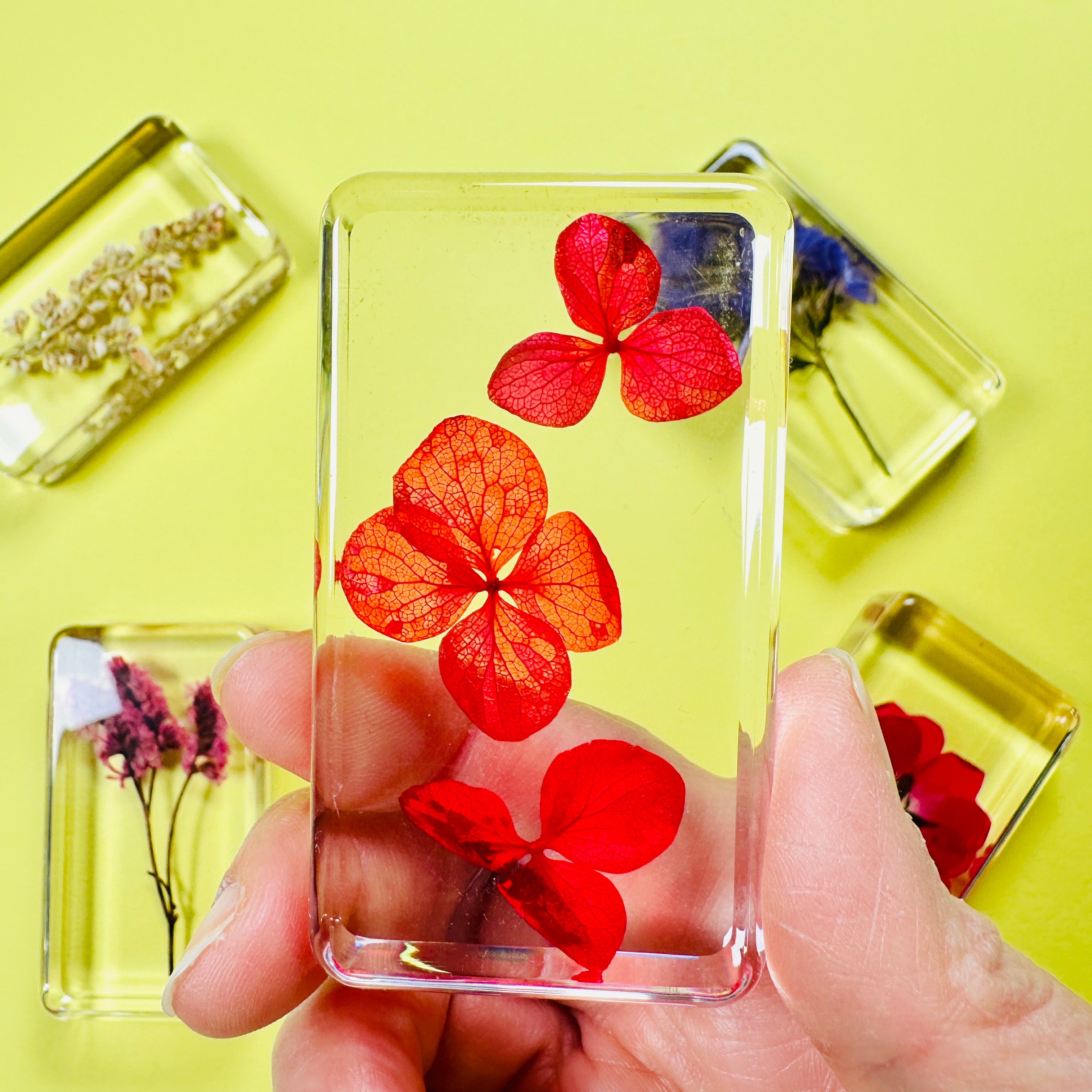 Wildflower Cube Large (Random Pick)