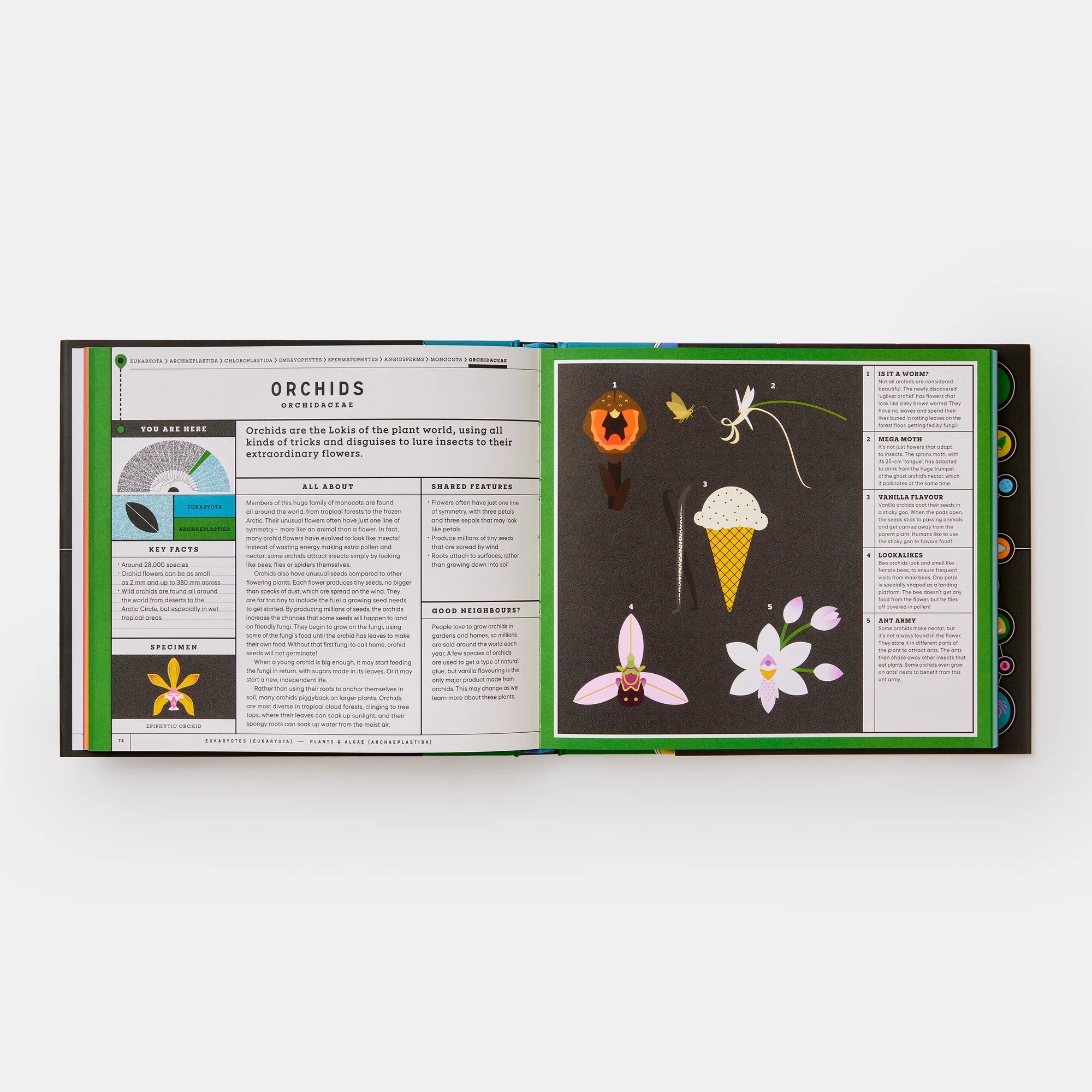 Full of Life: Exploring Earth's Biodiversity (EN)