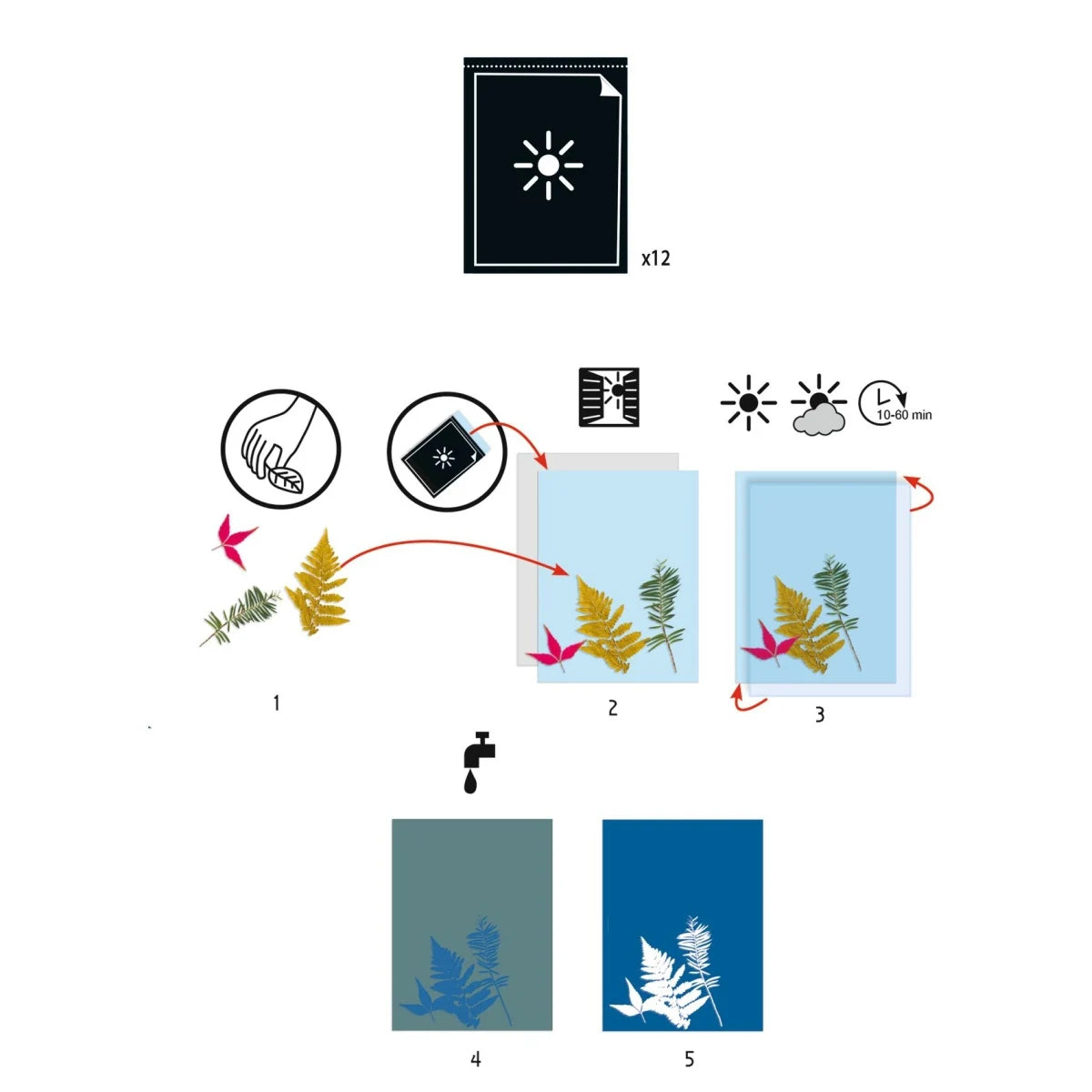 Sunprint Paper A4 (12 Sheets)