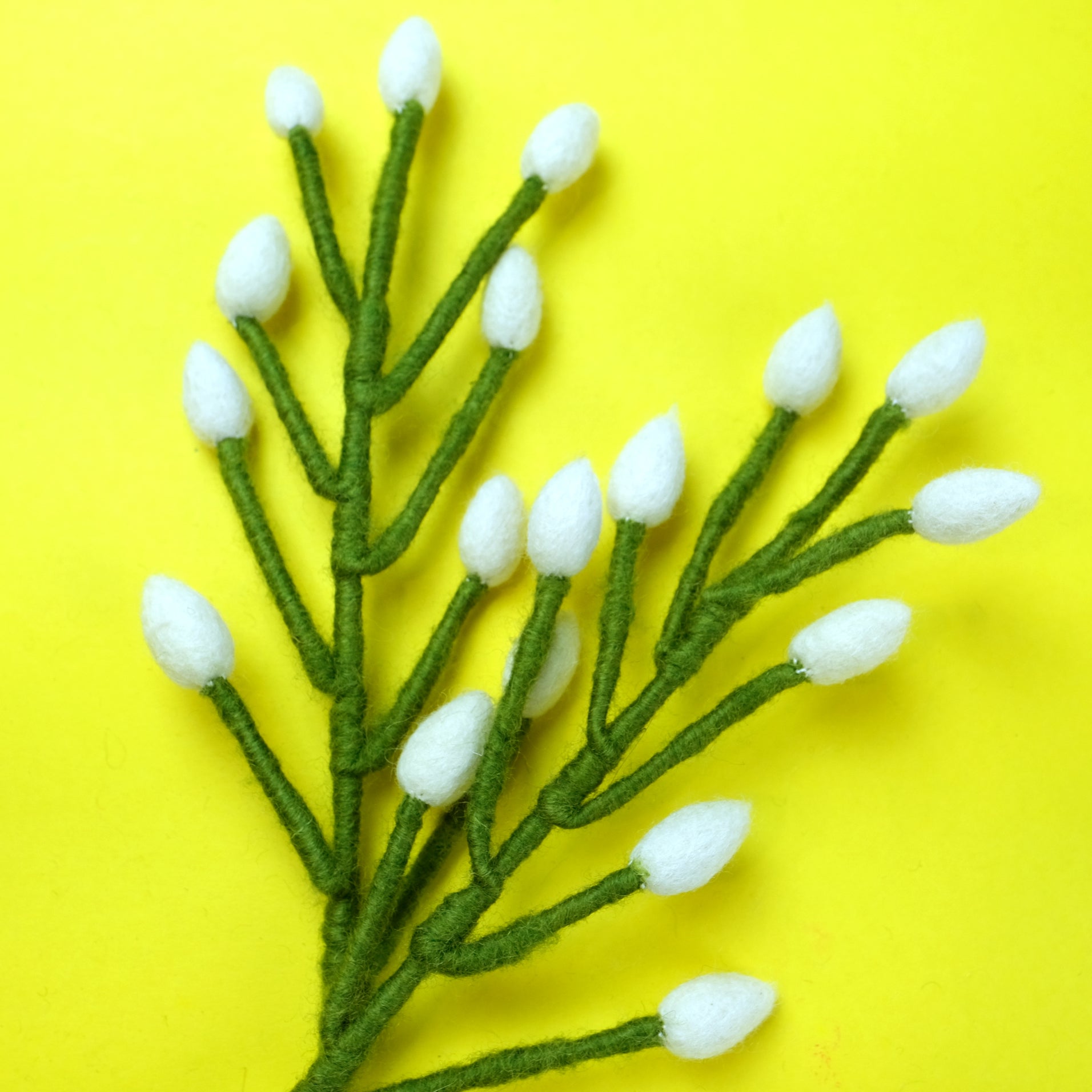 Branch with Long White Bells
