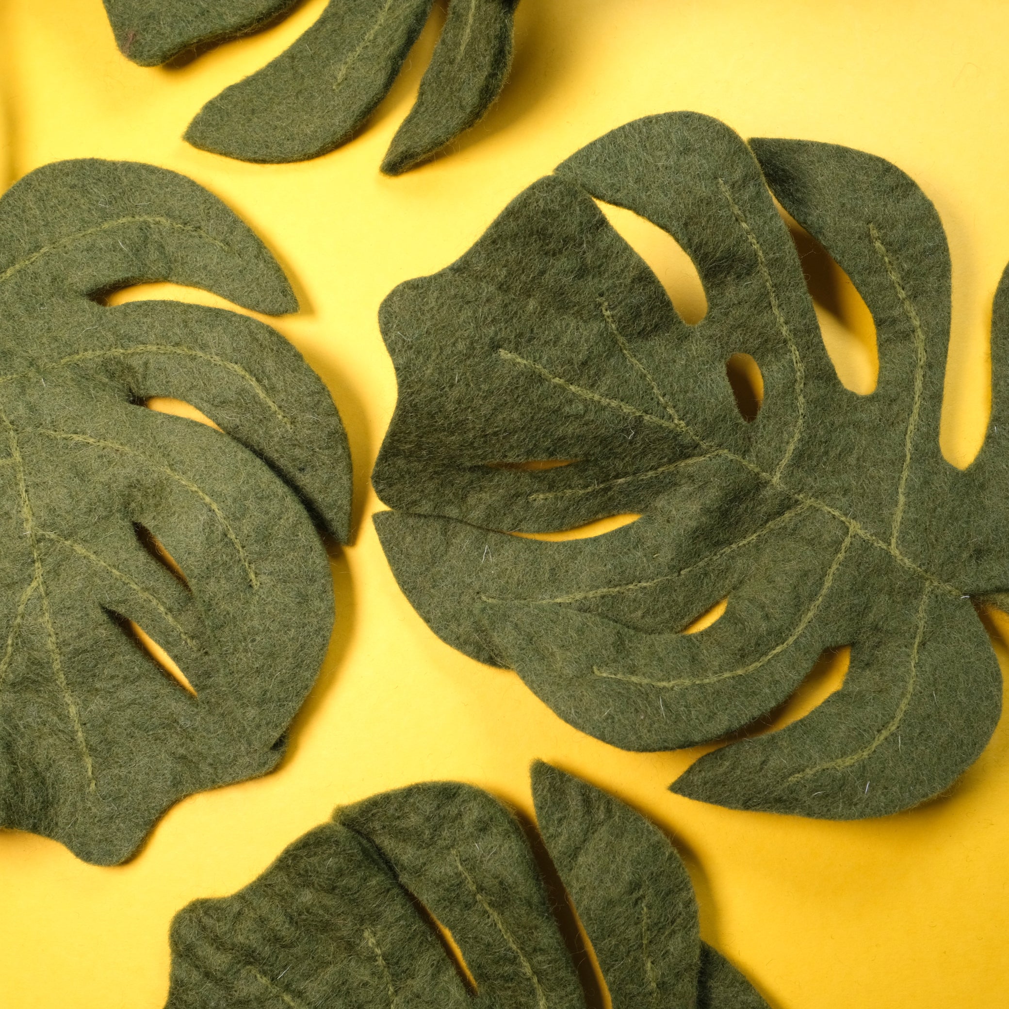 Monstera-Blatt