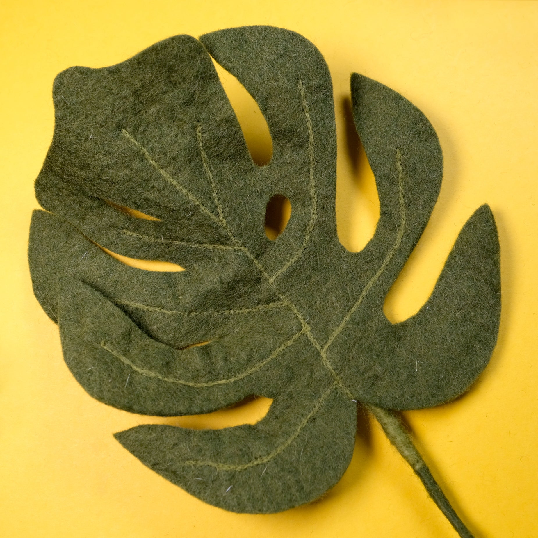 Monstera Leaf