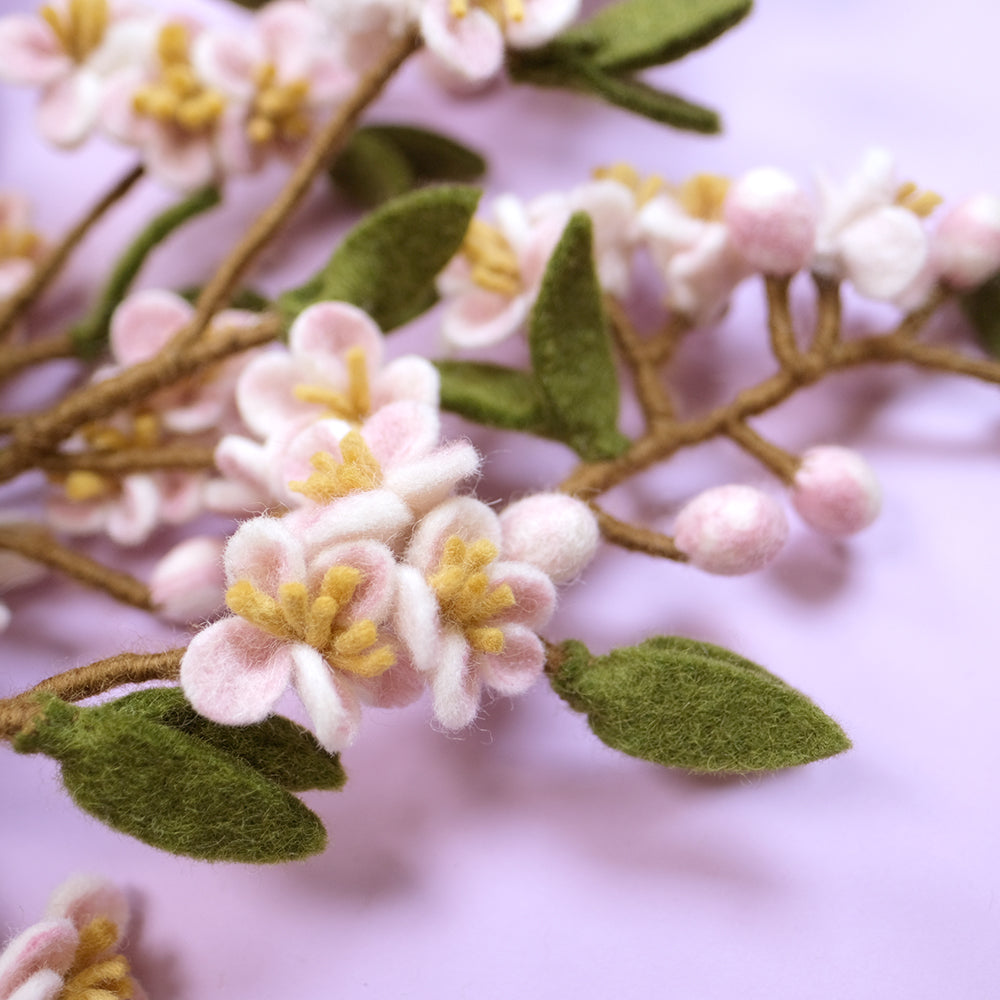 Cherry Blossom Branch