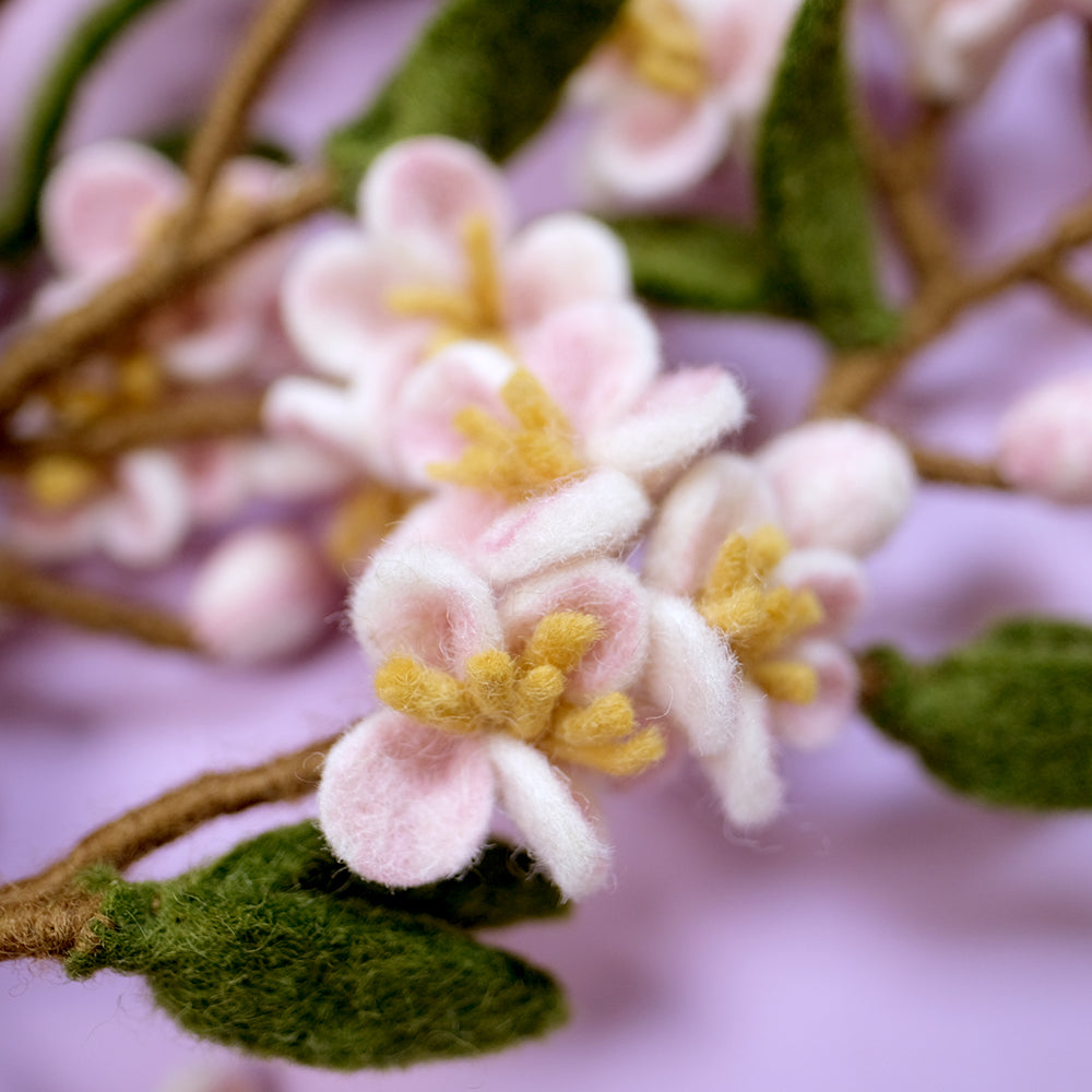 Cherry Blossom Branch