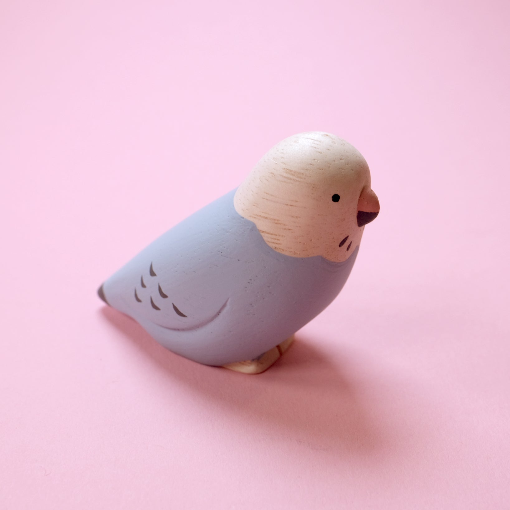 Pole pole Kotori - Budgerigar