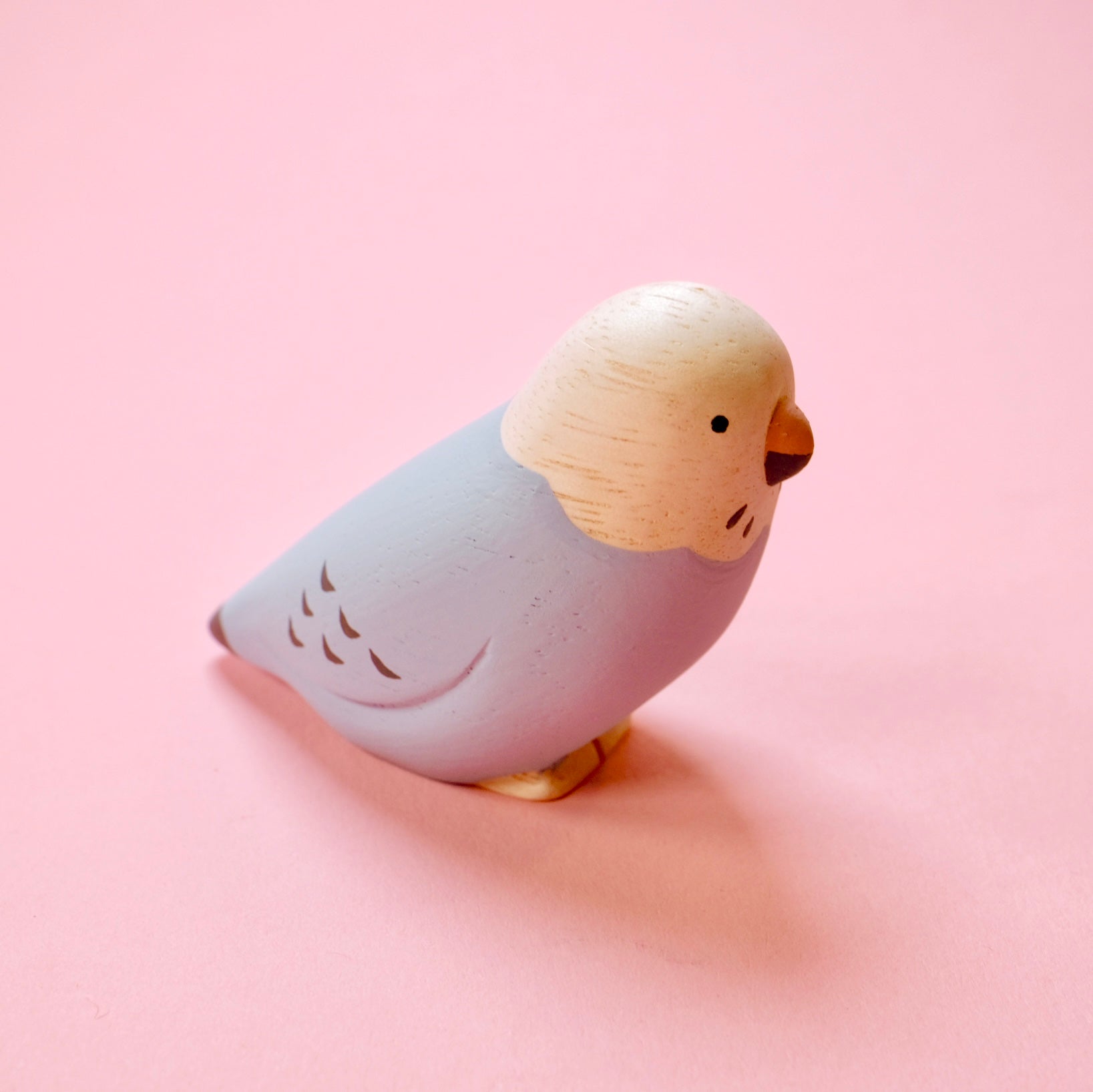 Pole pole Kotori - Budgerigar
