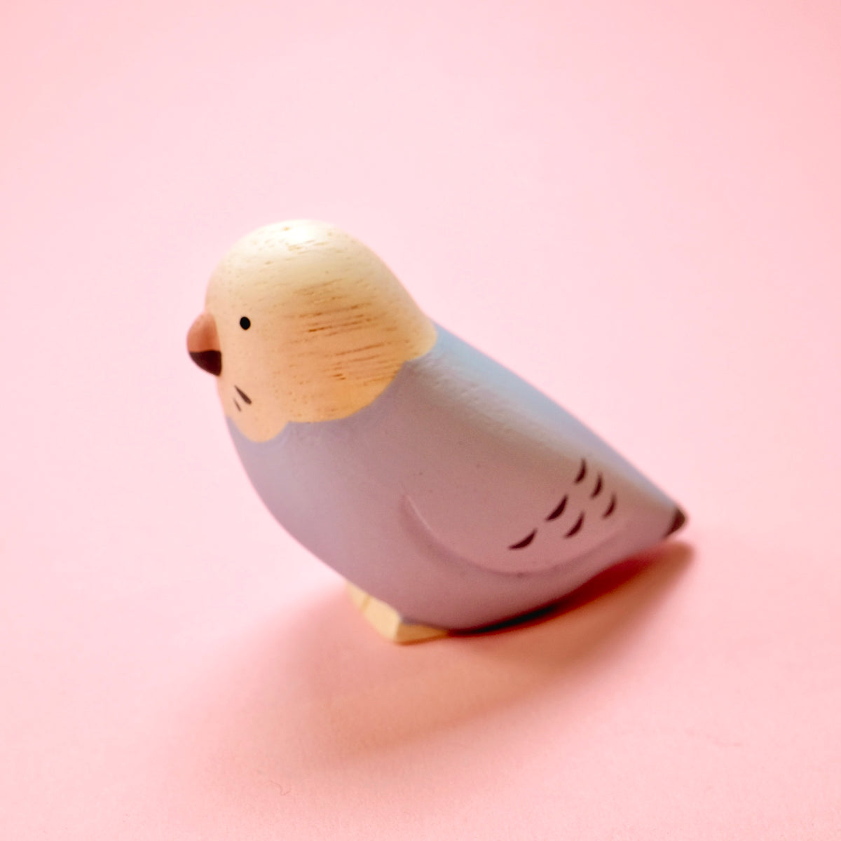 Pole pole Kotori - Budgerigar