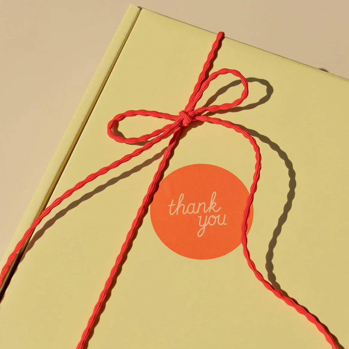 Elastic Gift Ribbon (5 m)