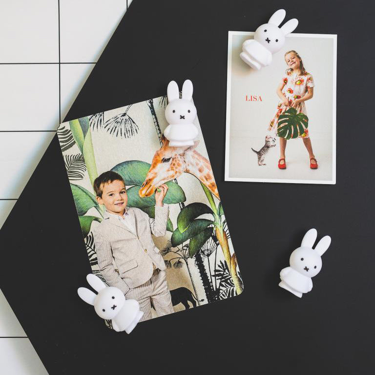 White Miffy Magnet (Set of 4)