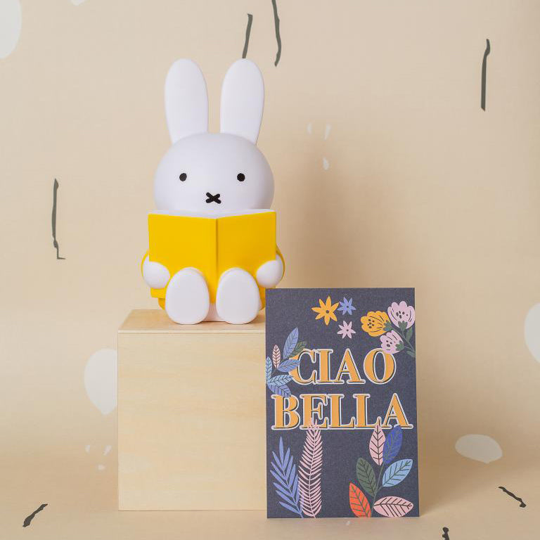 Miffy reading money box