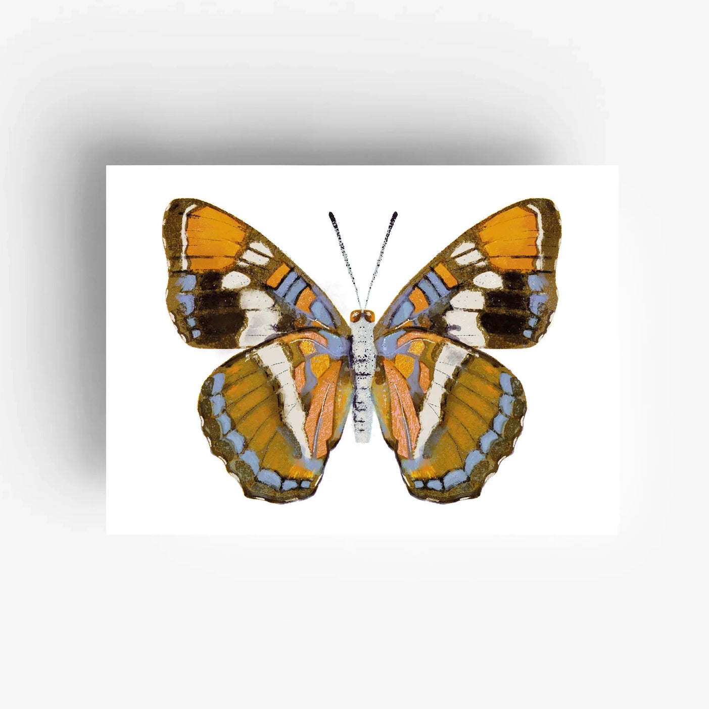 Butterfly Postcard Set (12 pcs)