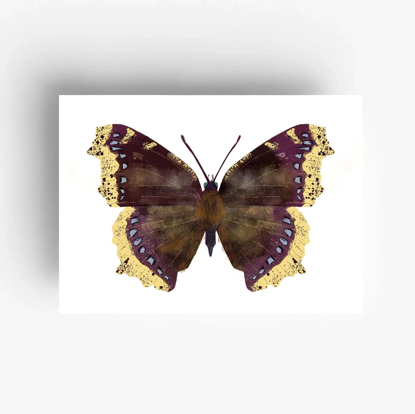 Butterfly Postcard Set (12 pcs)