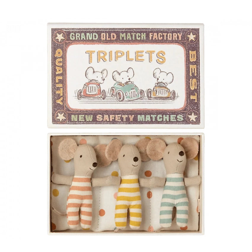 Baby Mice in Matchbox TRIPLETS