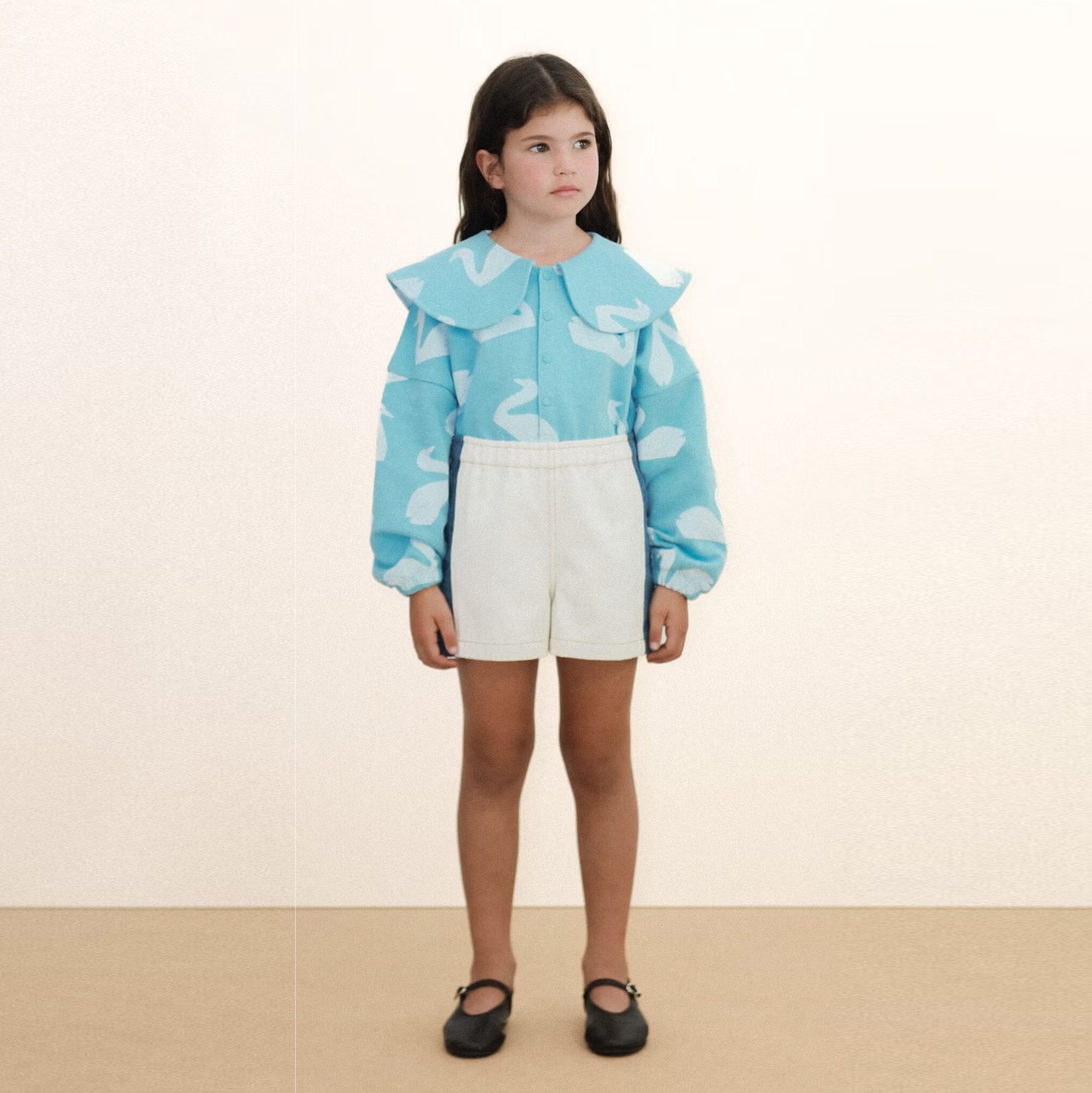 BIG SWANS SWEATSHIRT