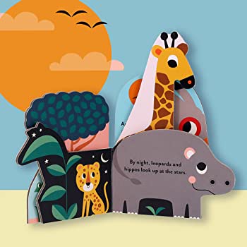 Bookscape Board Books: Wild Animals (EN)