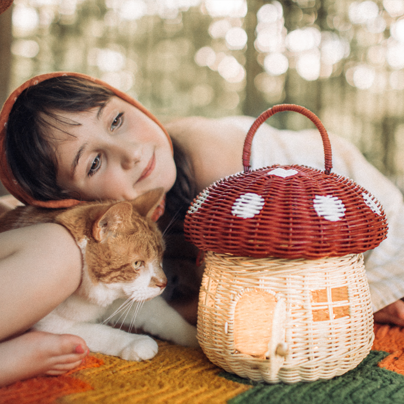 Rattan Mushroom Red Basket