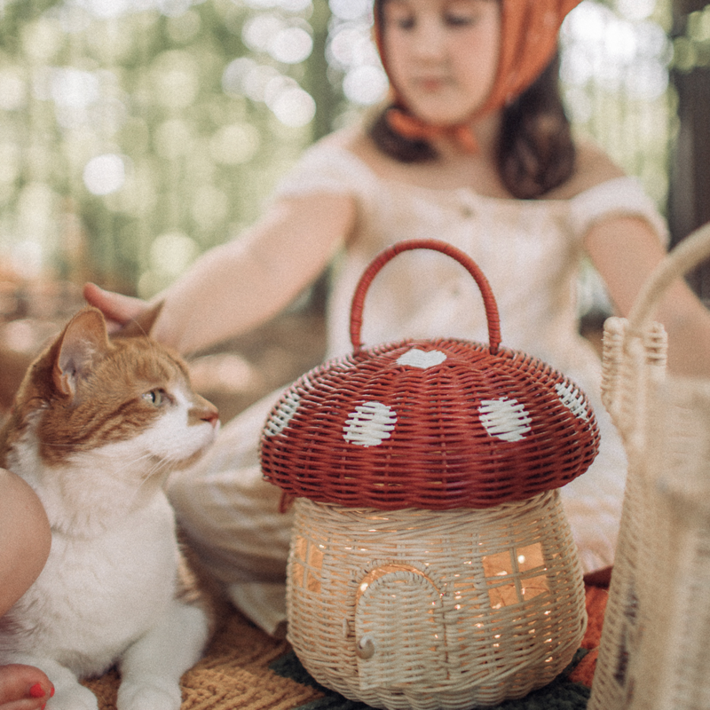 Rattan Mushroom Red Basket