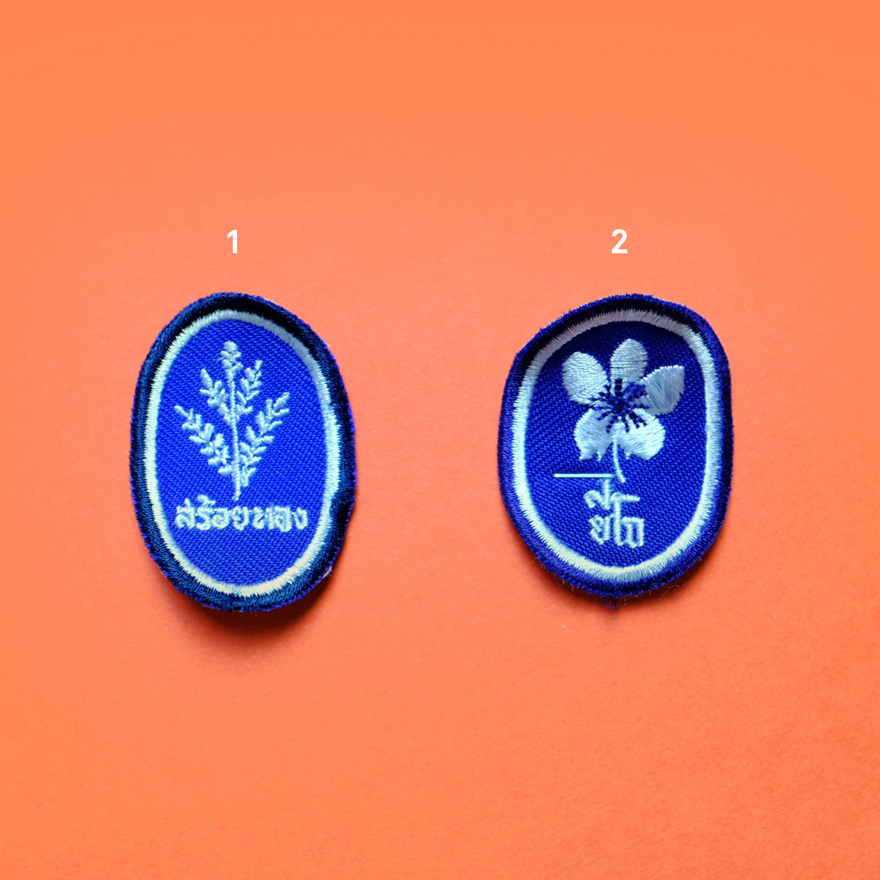 Scout patch collection1 - Summer Made