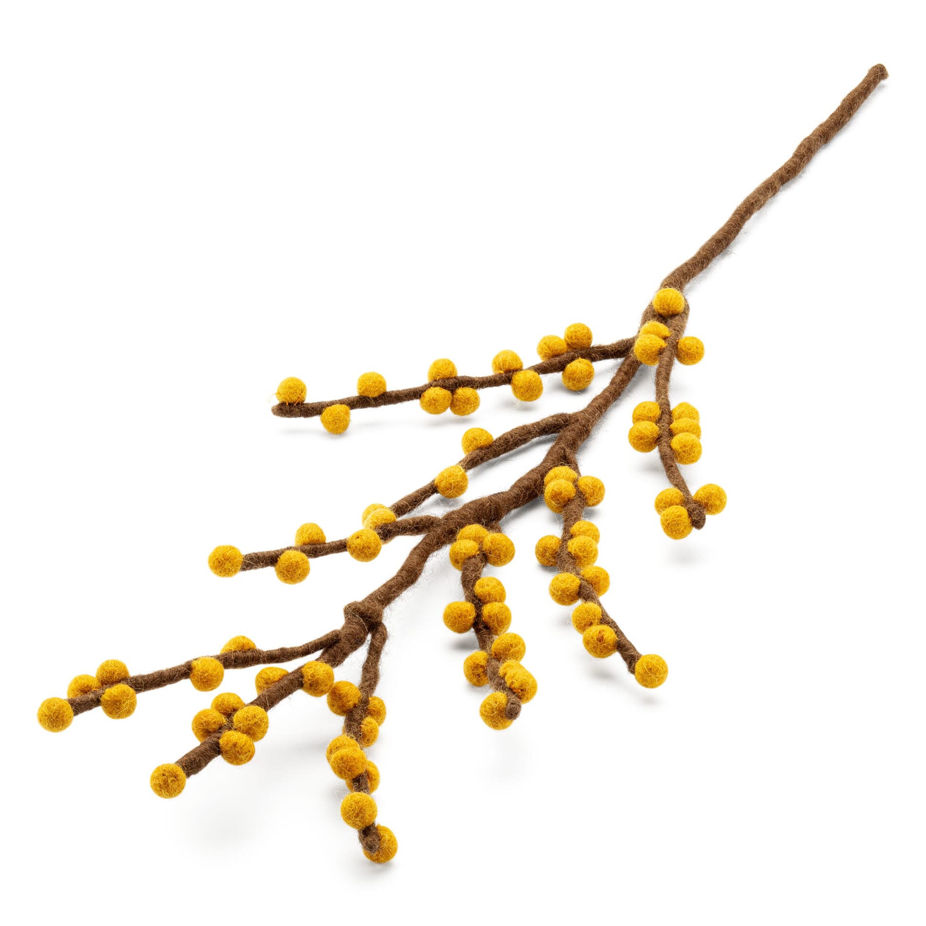 Branch with Yellow Berries