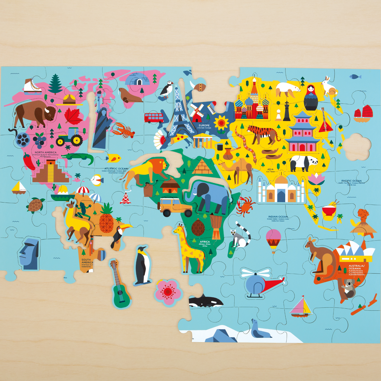Map of the World Geography Puzzle