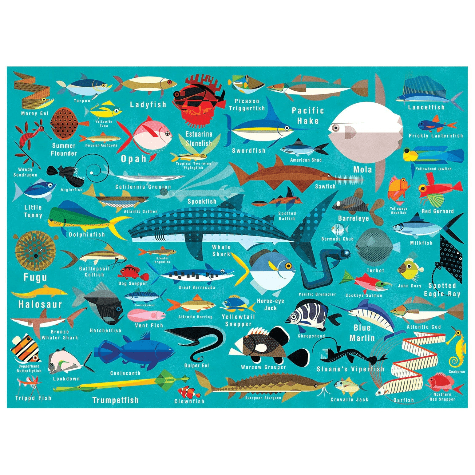 Ocean Life Familienpuzzle mit 1000 Teilen